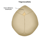 Ilustración de un recién nacido